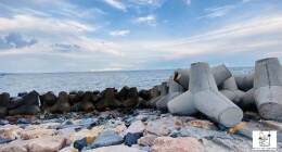 Bãi đá ông địa