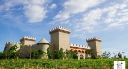 Lâu Đài Rượu Vang