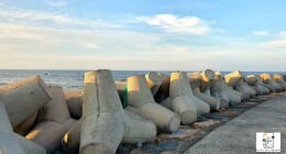 Bãi đá ông địa